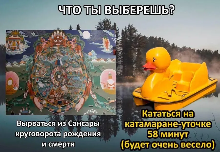 Untitled meme