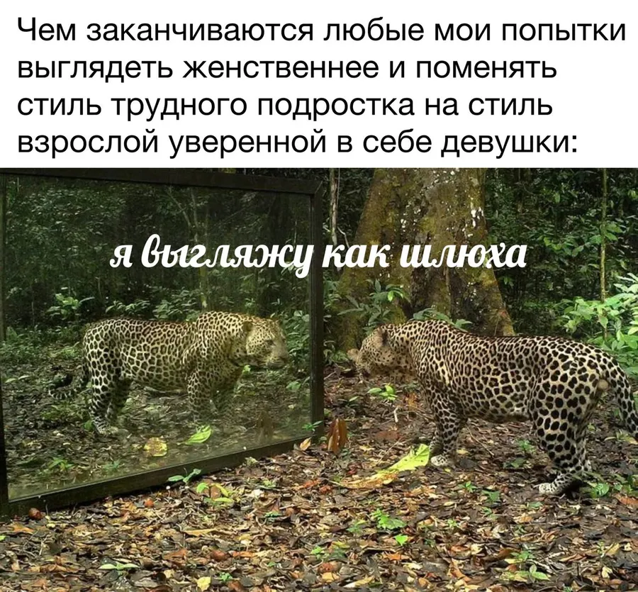 Untitled meme