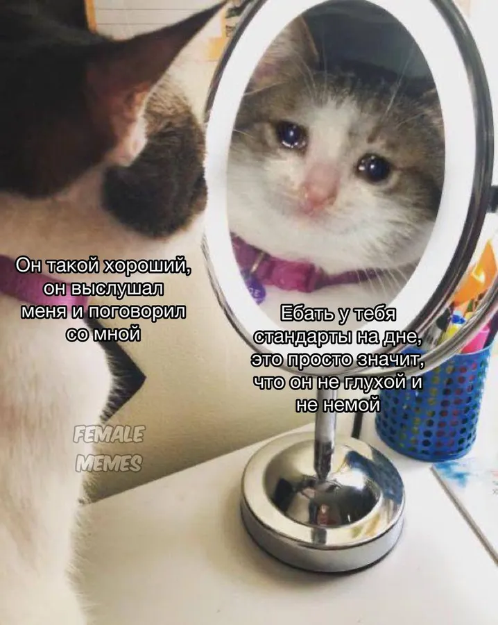 Untitled meme