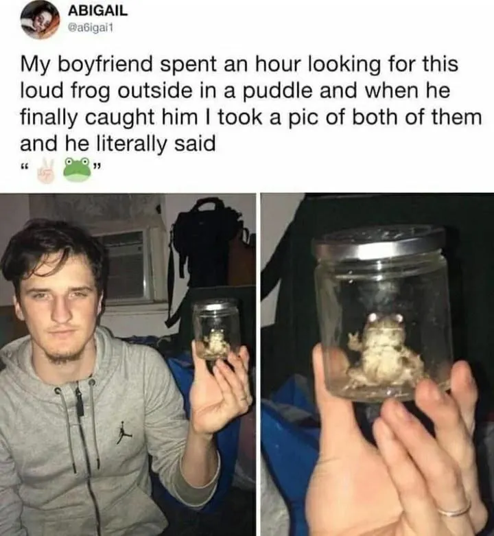 Untitled meme