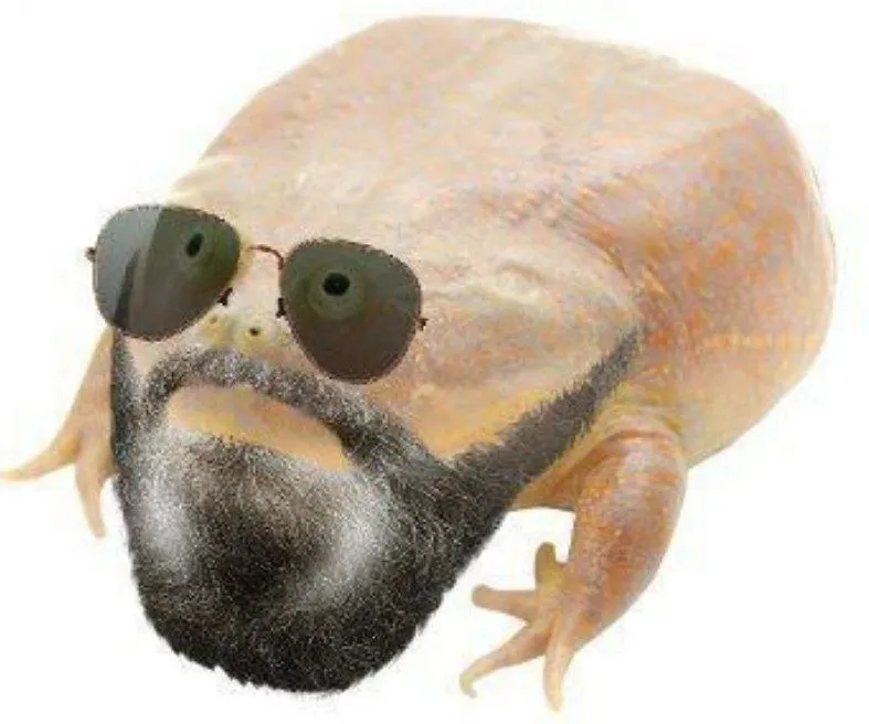 Untitled meme