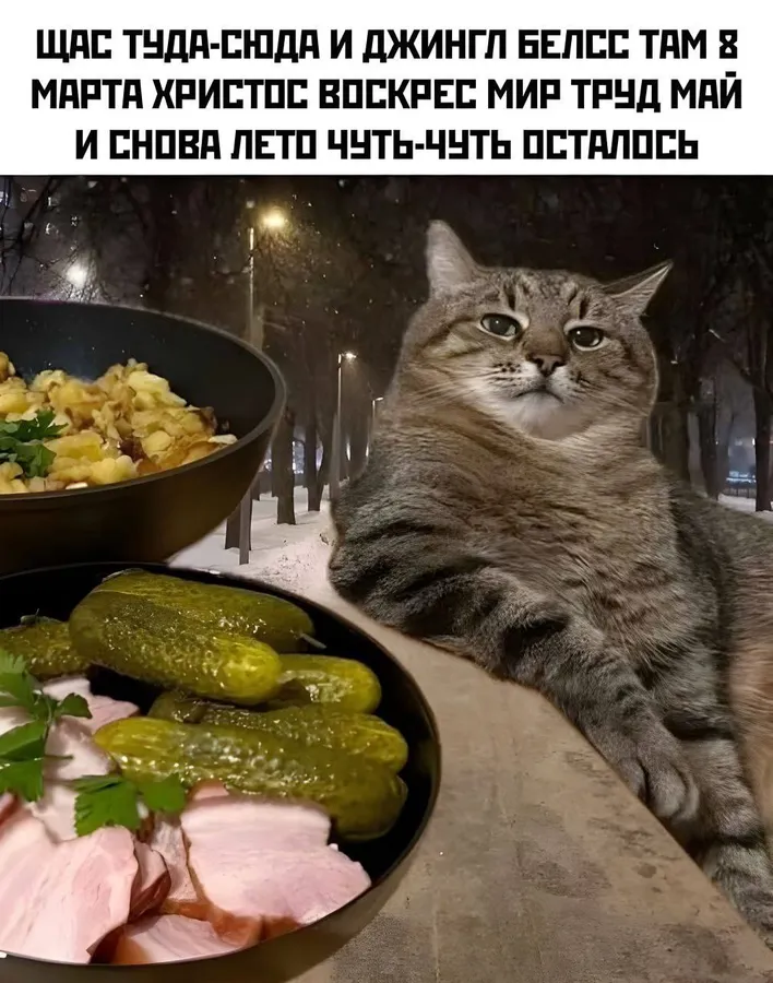 Untitled meme