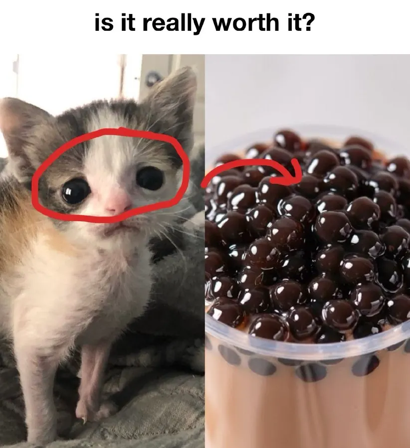 Untitled meme