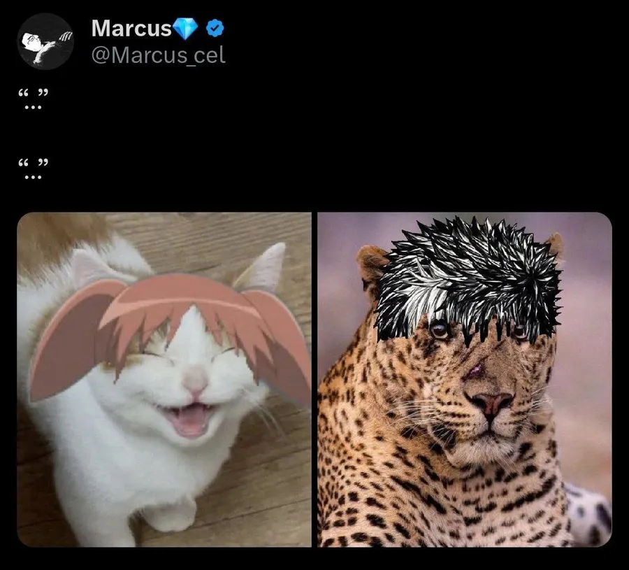 Untitled meme