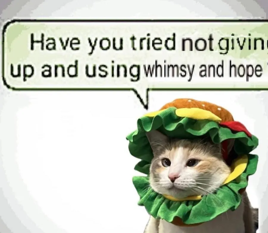 Untitled meme