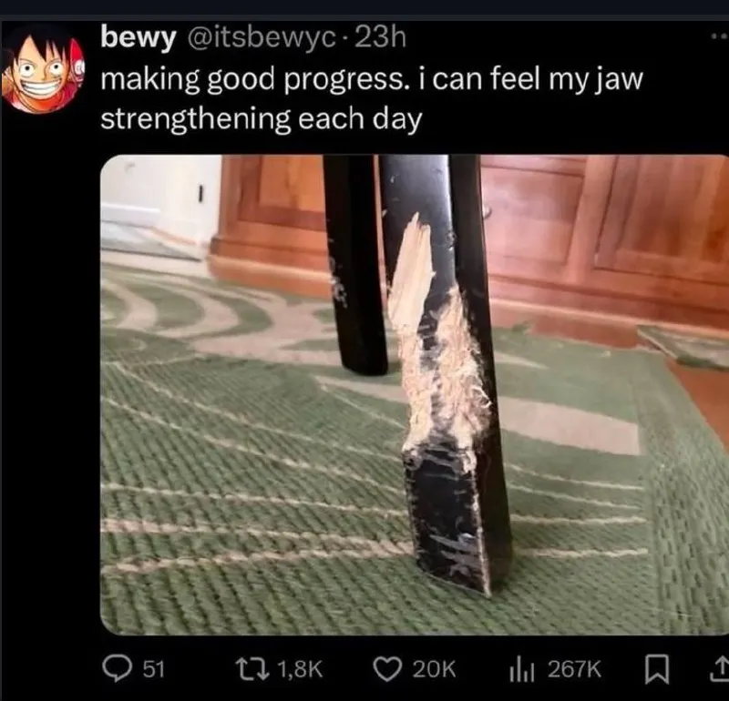 Untitled meme