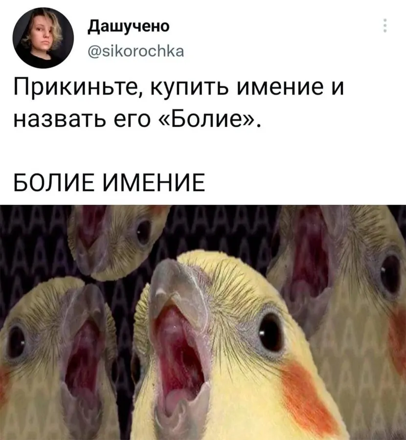 Untitled meme