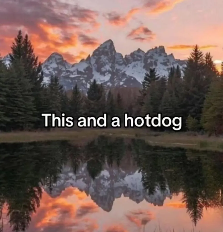Untitled meme