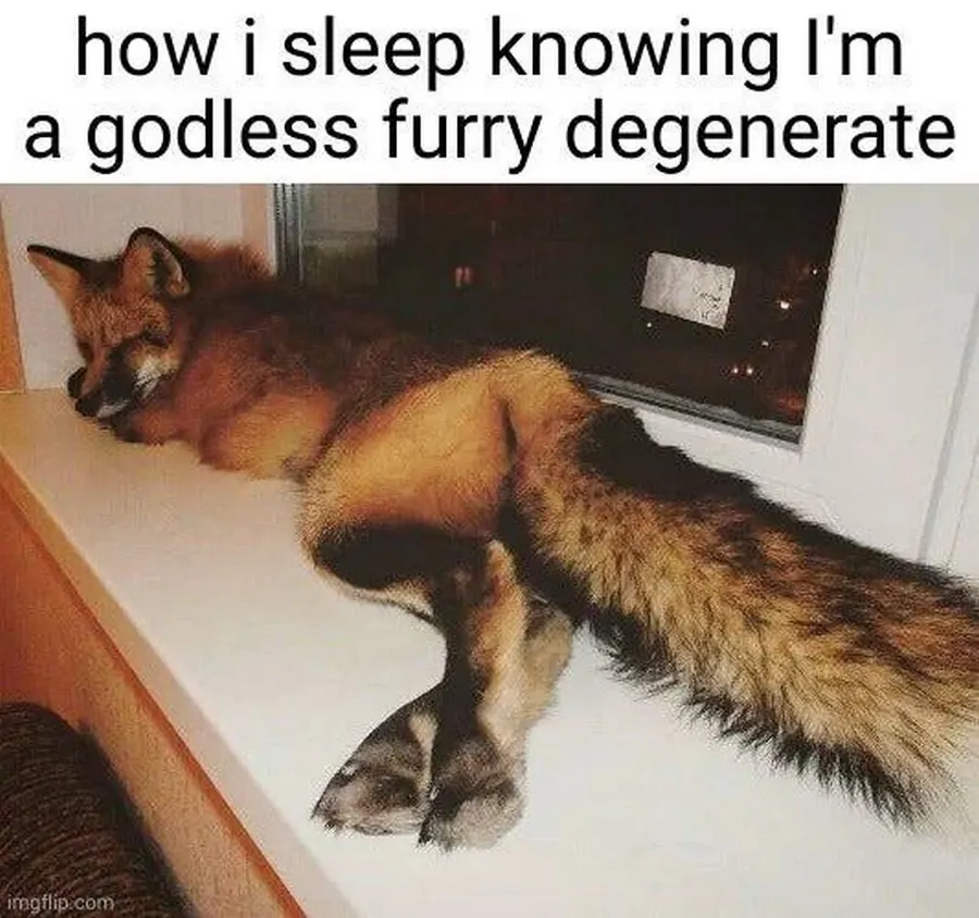 Untitled meme