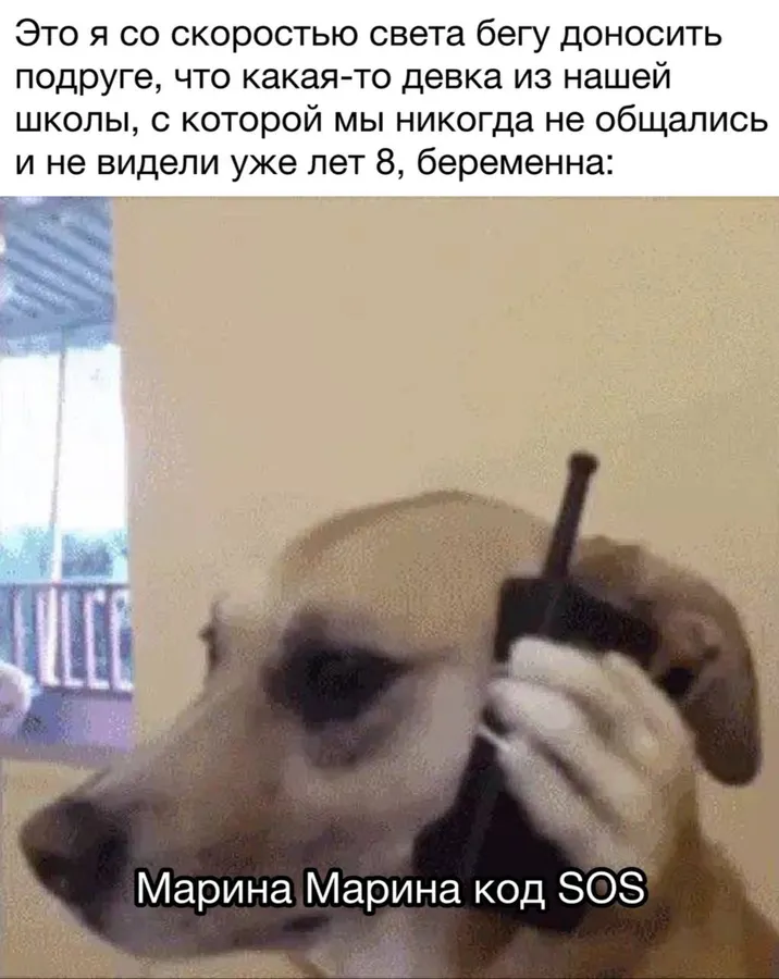 Untitled meme