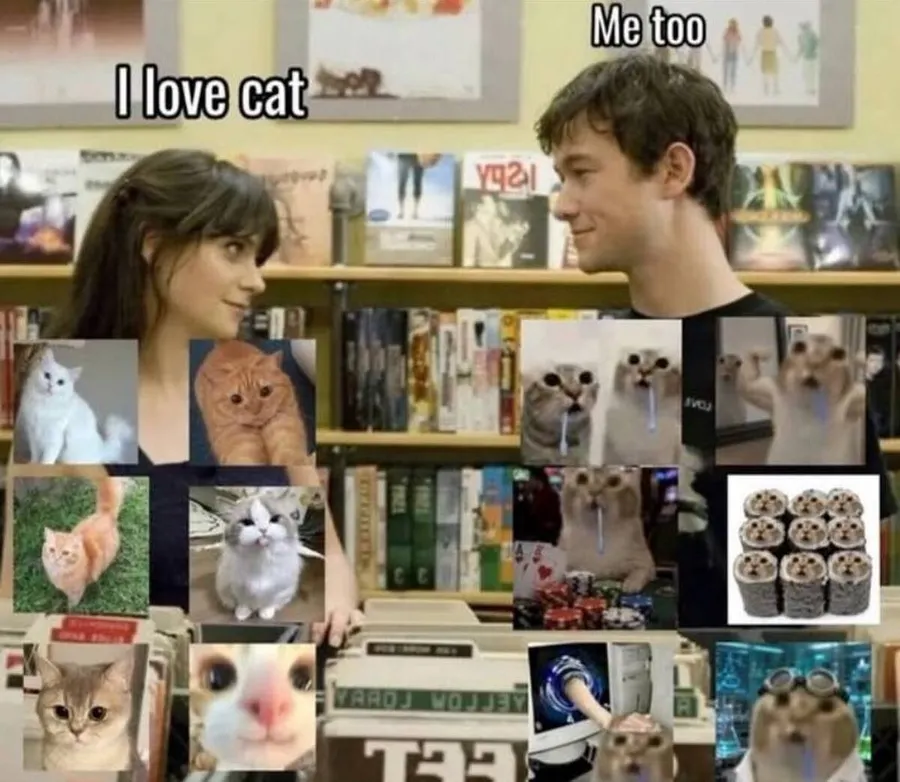 Untitled meme