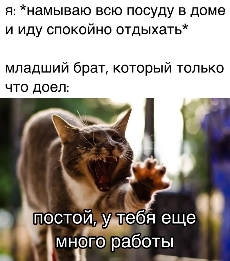 Untitled meme
