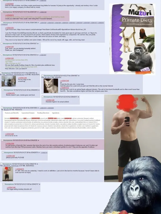 Untitled meme