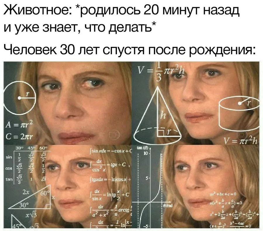 Untitled meme
