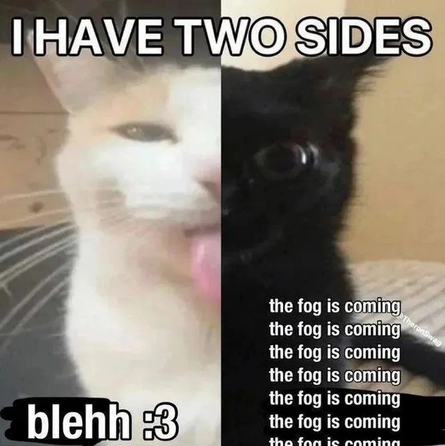 Untitled meme