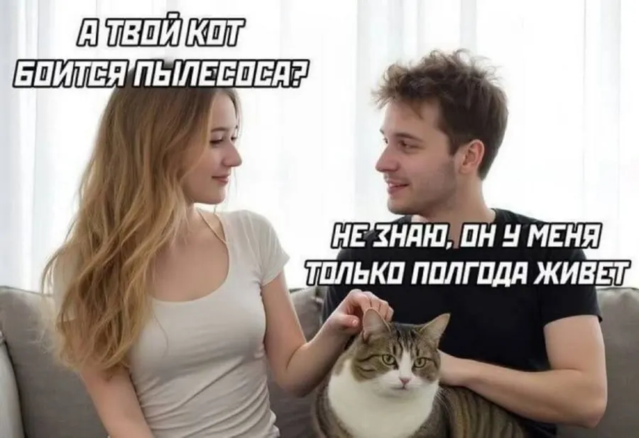 Untitled meme