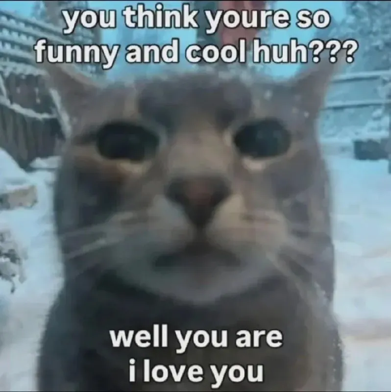 Untitled meme
