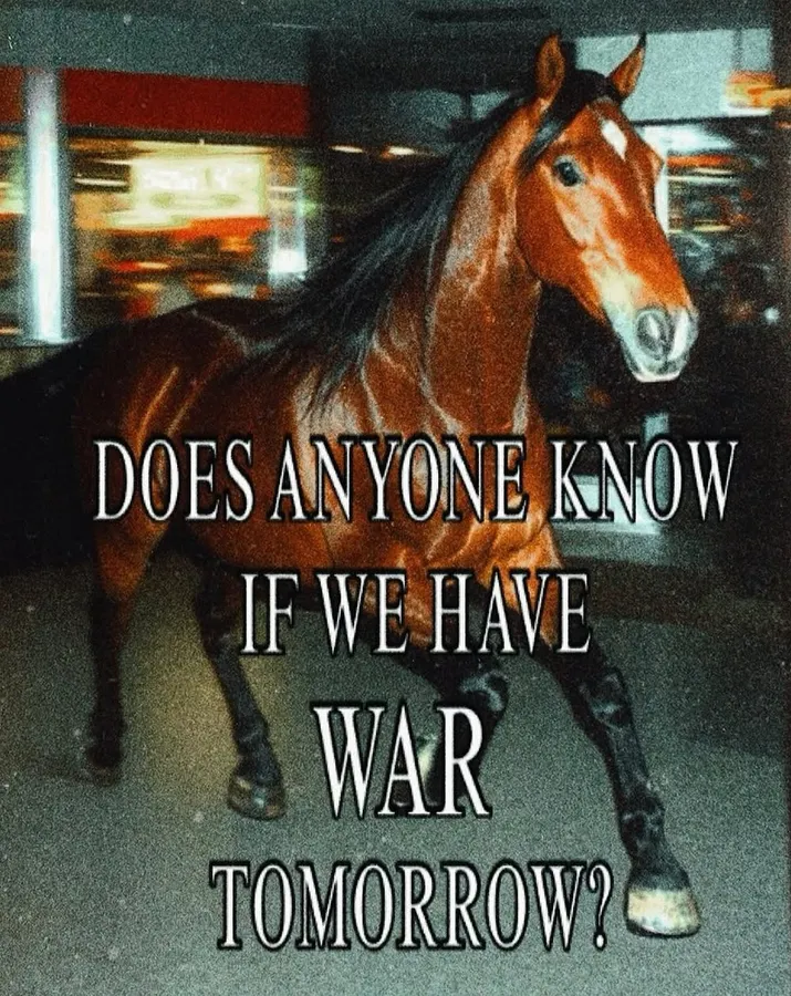 Untitled meme