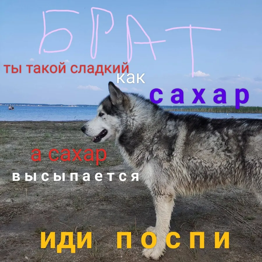 Untitled meme