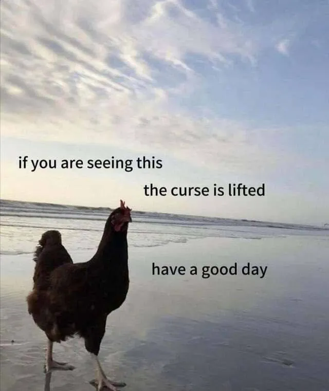Untitled meme