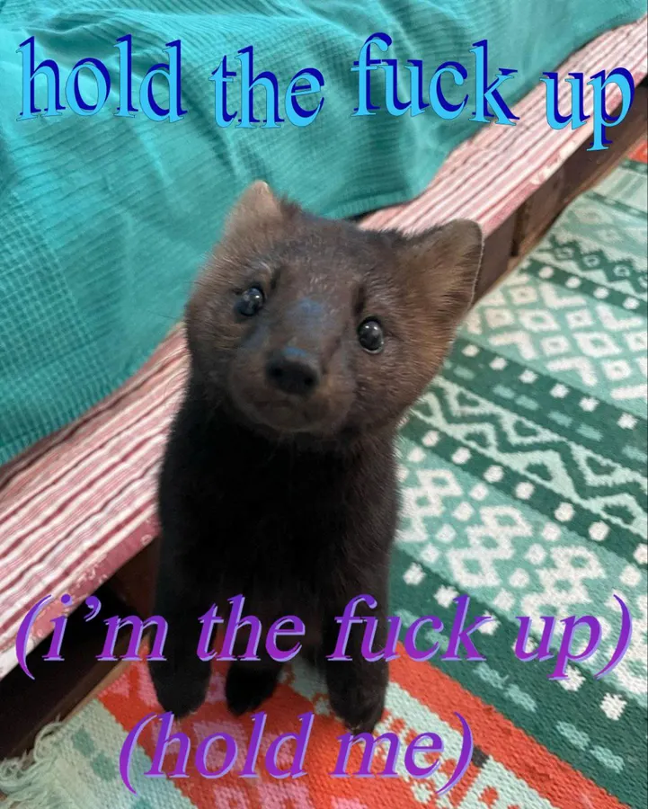 Untitled meme