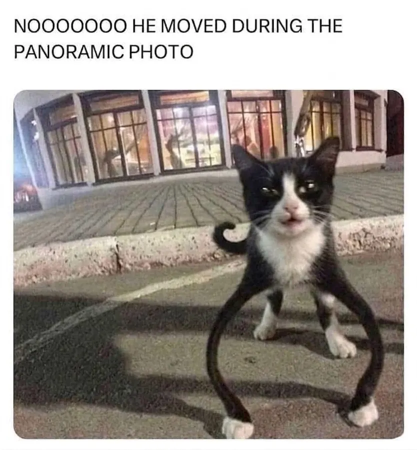 Untitled meme