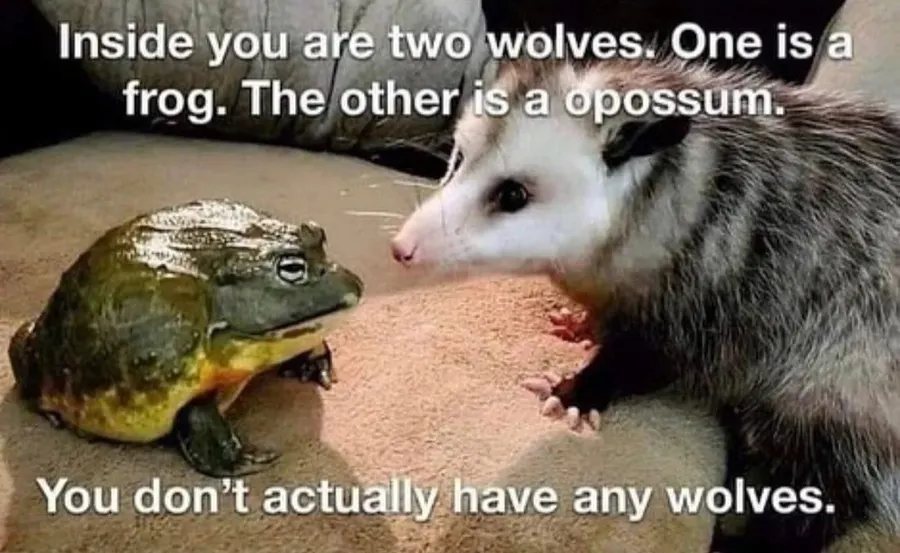 Untitled meme