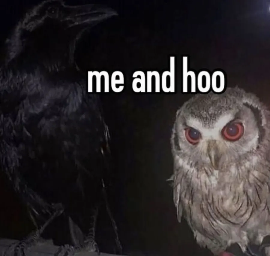 Untitled meme