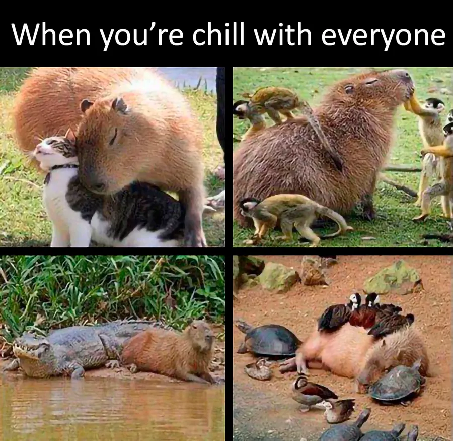 Untitled meme