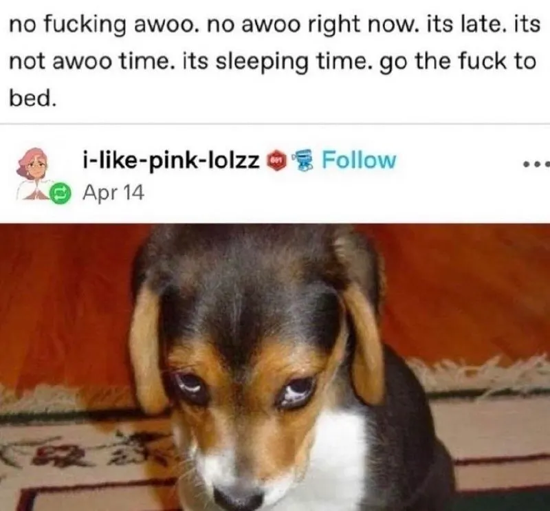 Untitled meme