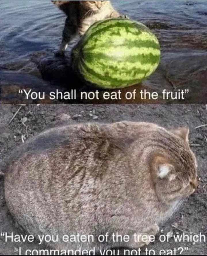 Untitled meme