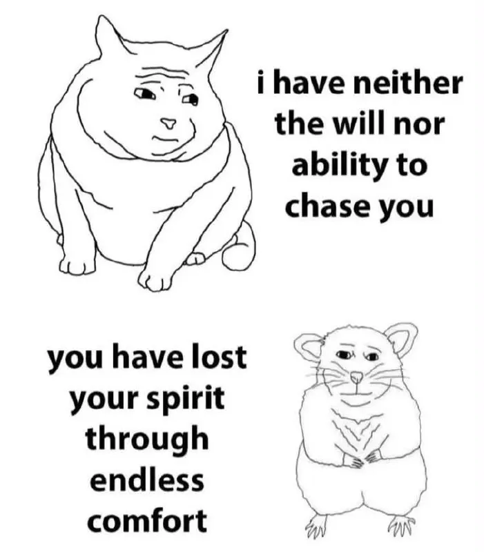 Untitled meme