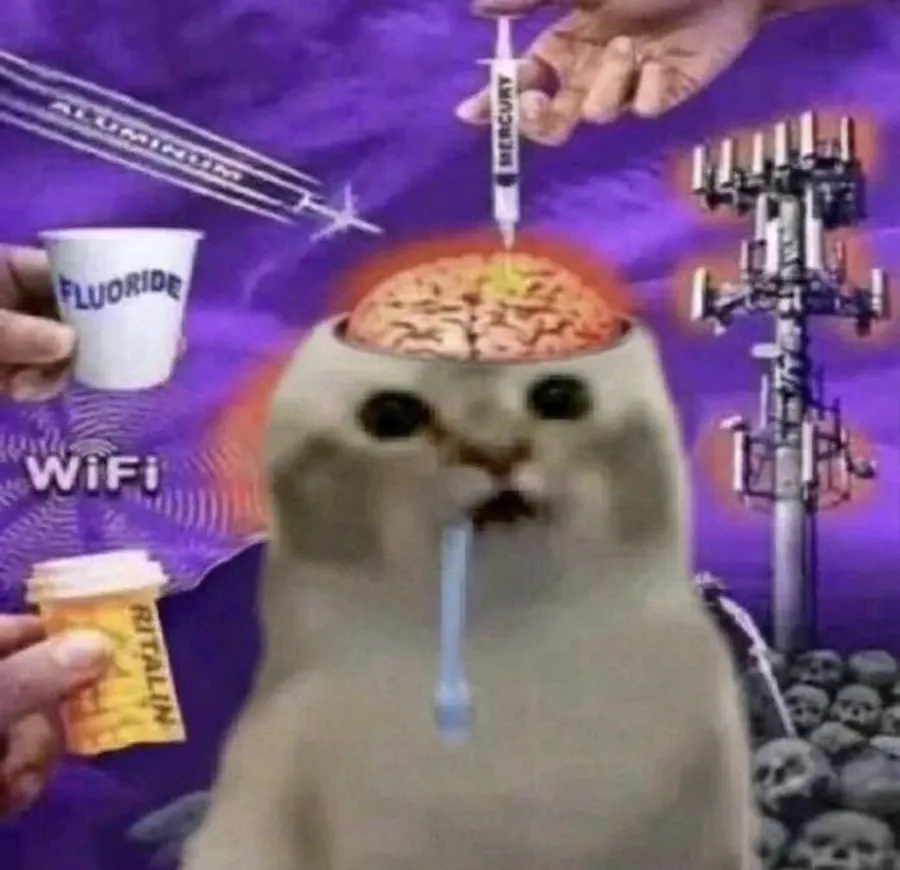 Untitled meme