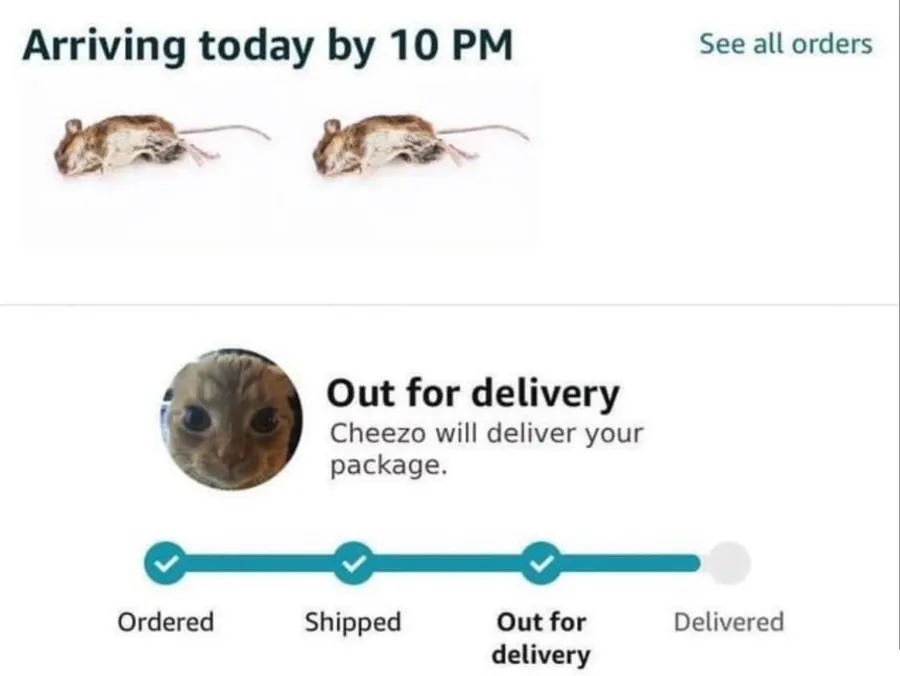 Untitled meme