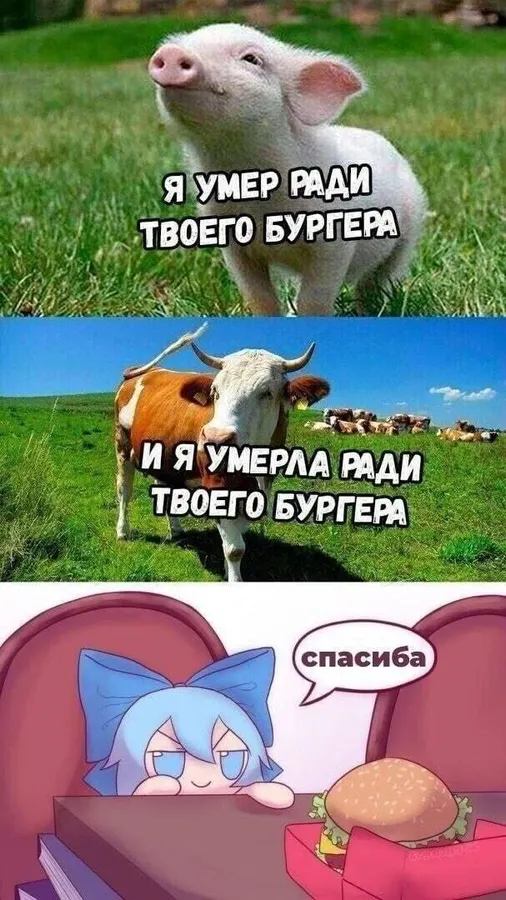 Untitled meme