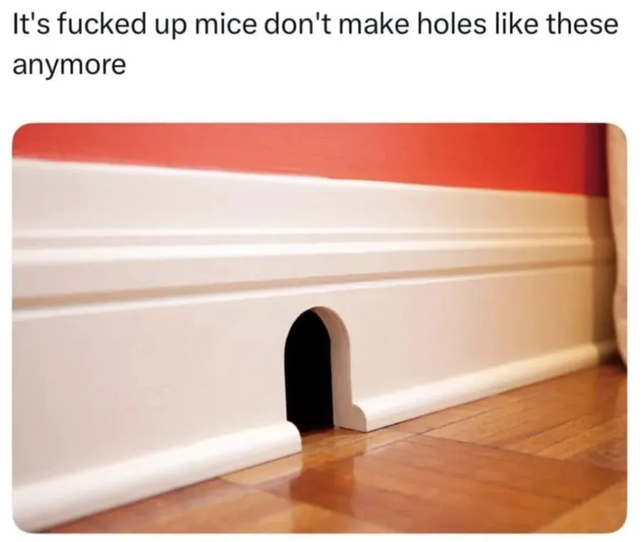 Untitled meme