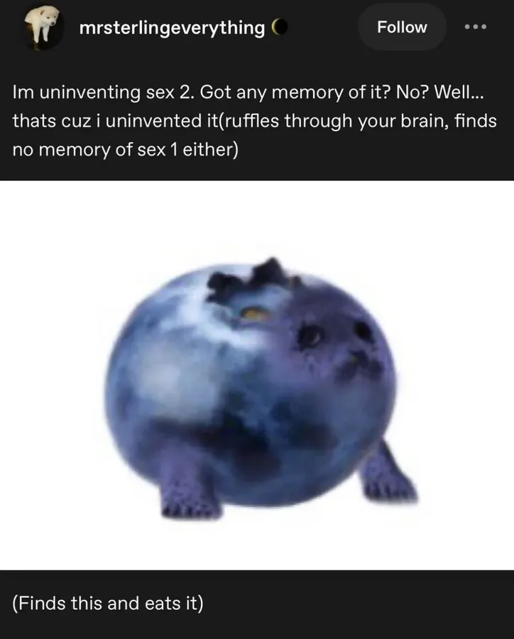 Untitled meme