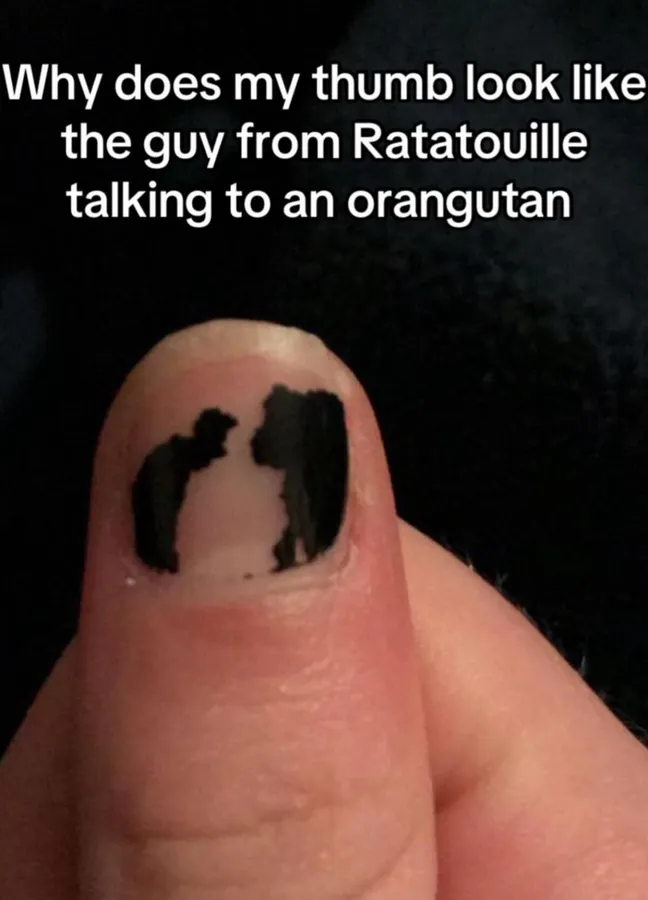 Untitled meme
