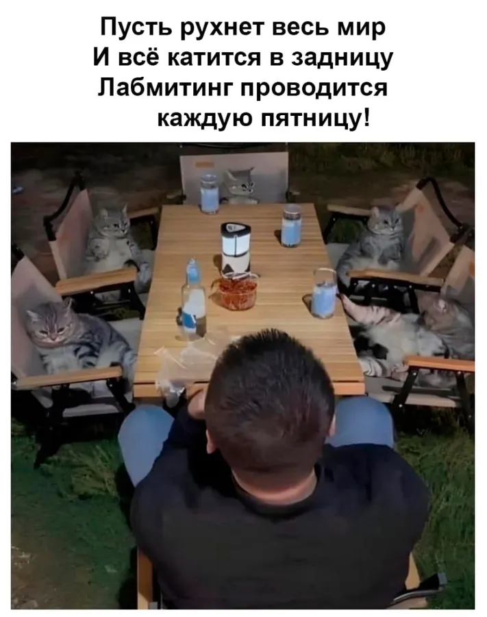 Untitled meme