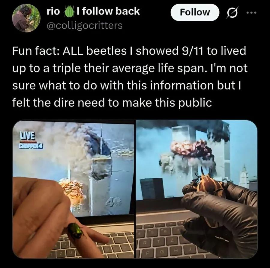 Untitled meme