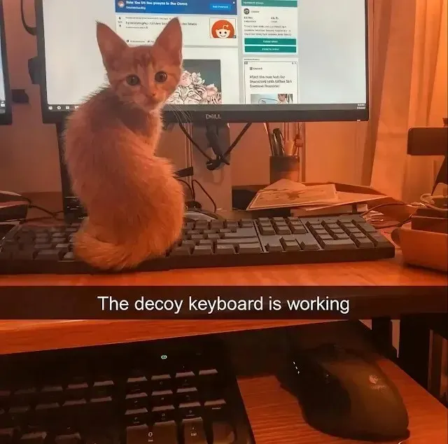 Untitled meme