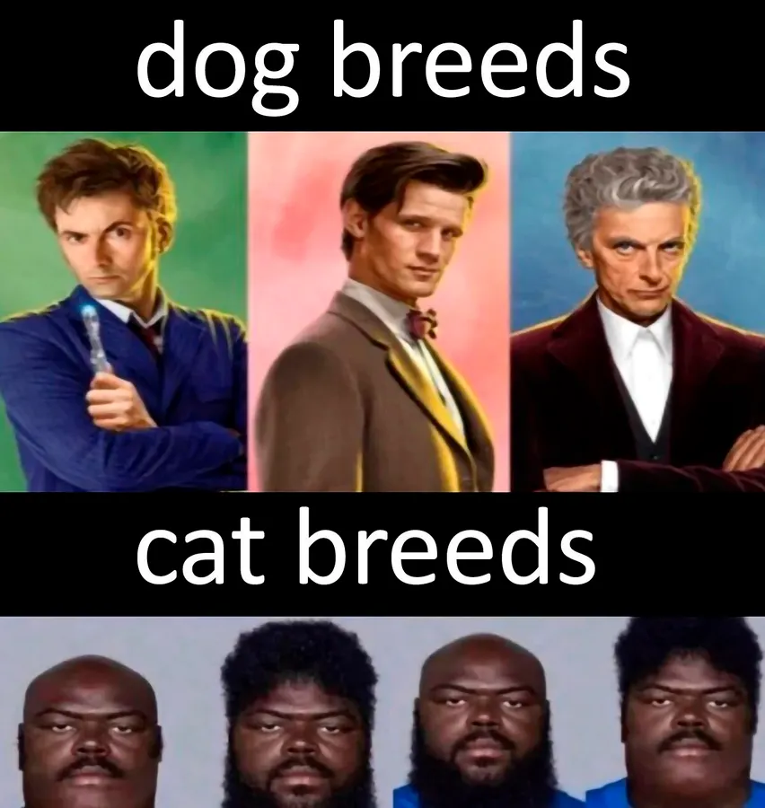 Untitled meme