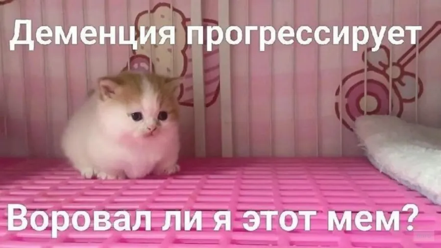 Untitled meme