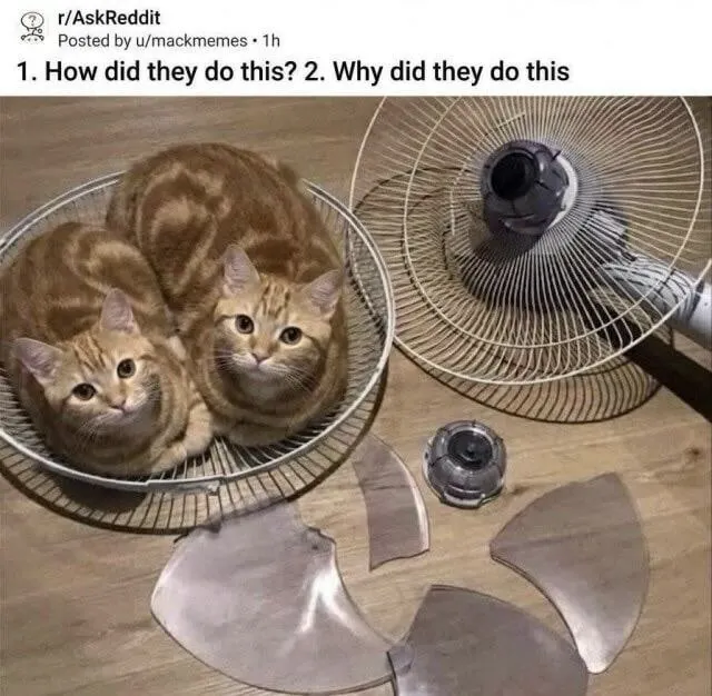 Untitled meme