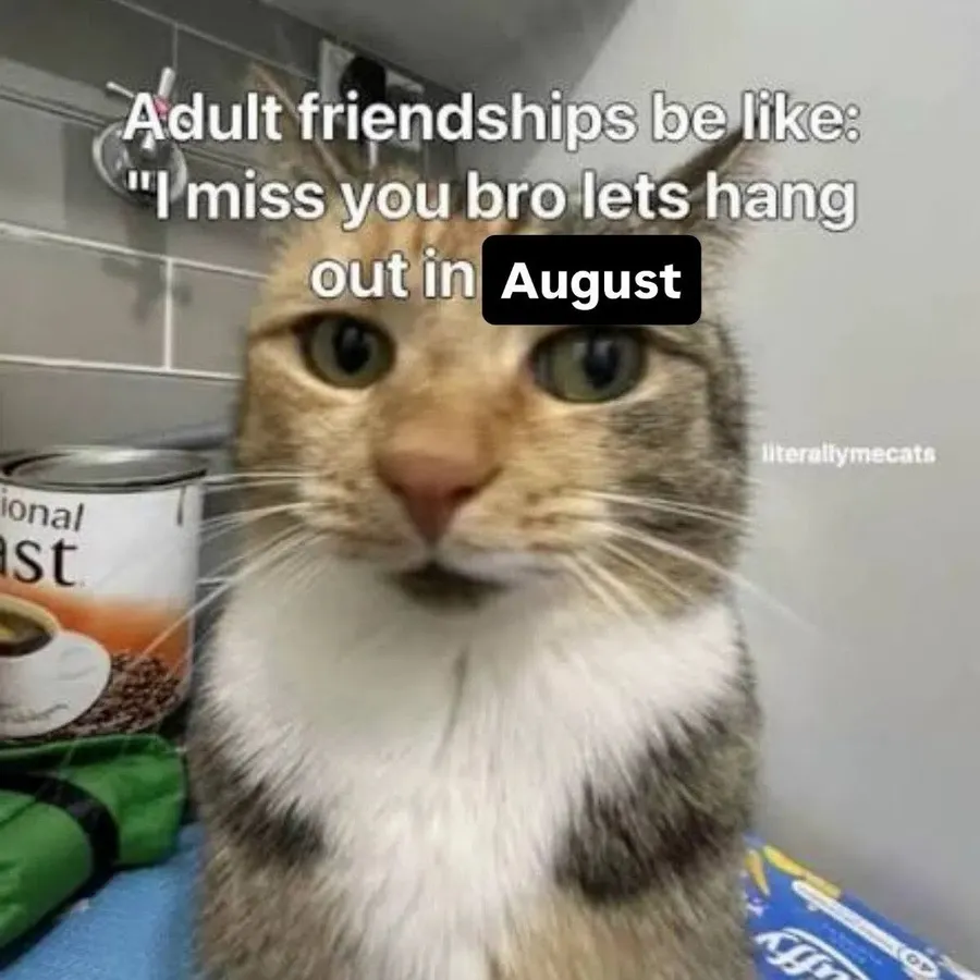 Untitled meme