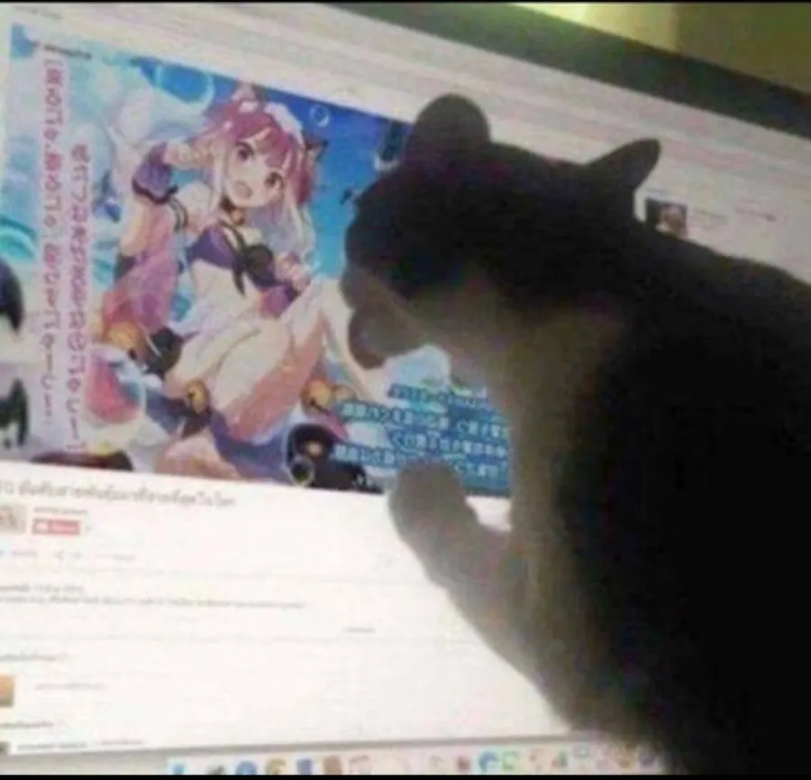 Untitled meme