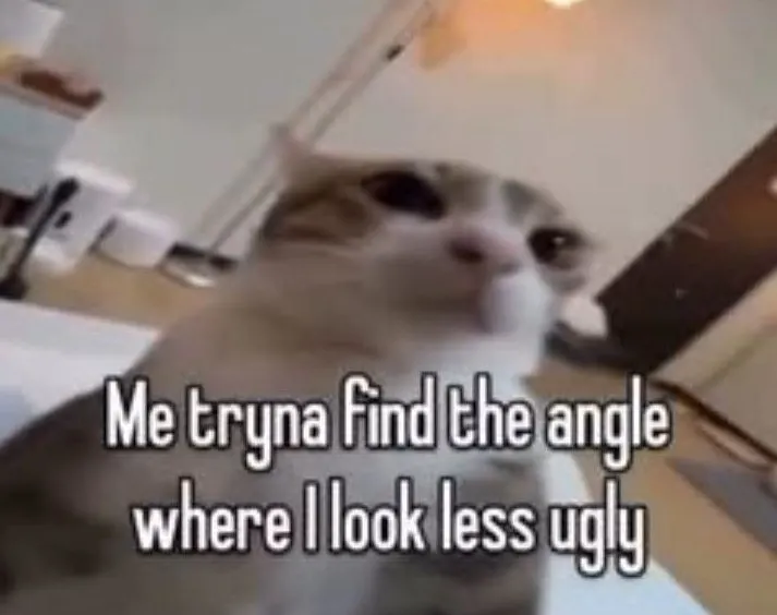Untitled meme