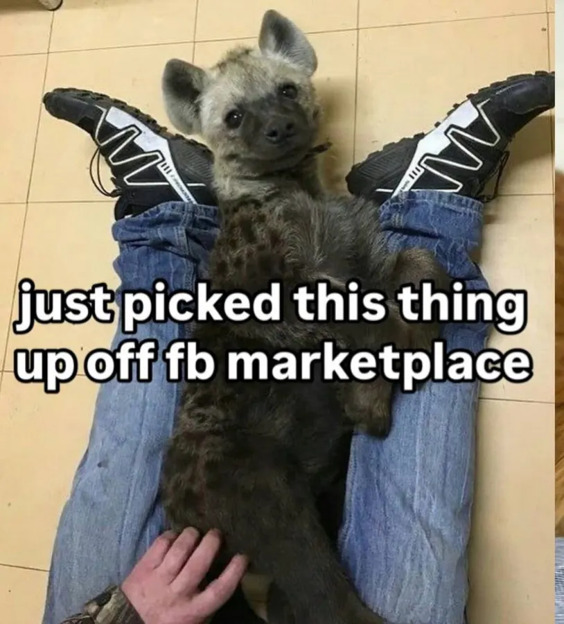 Untitled meme