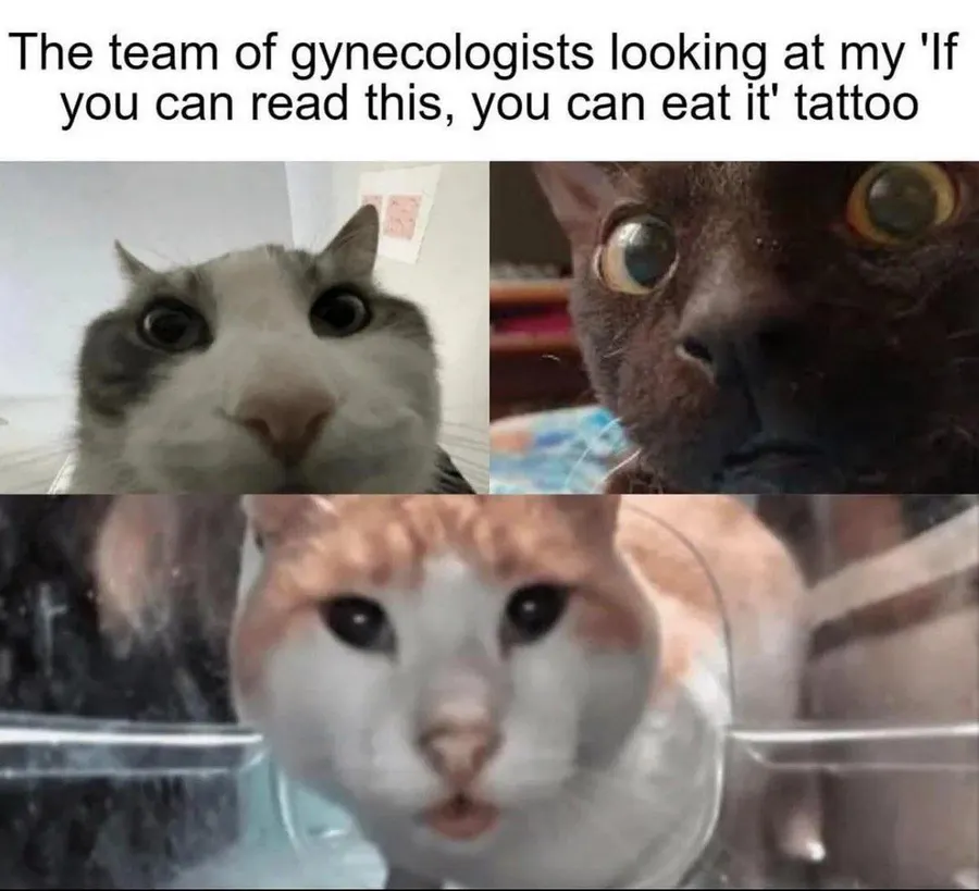 Untitled meme