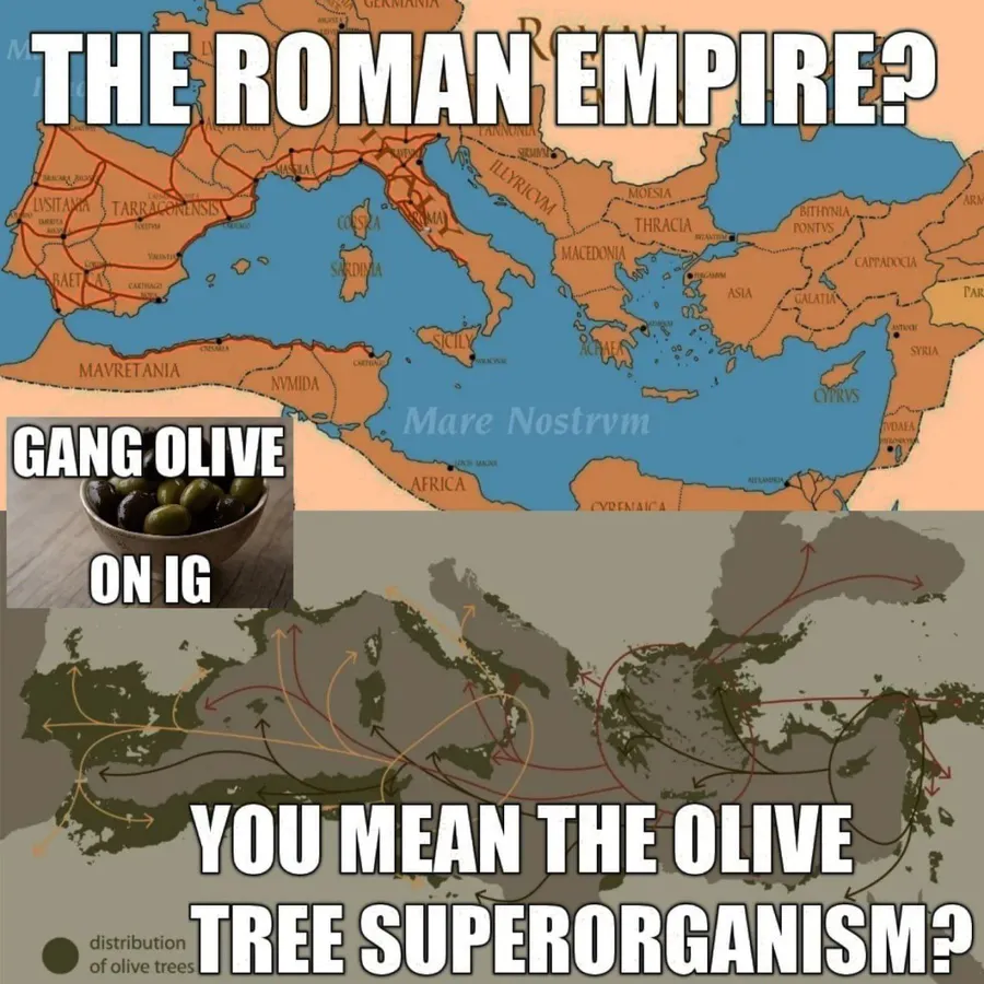 Untitled meme